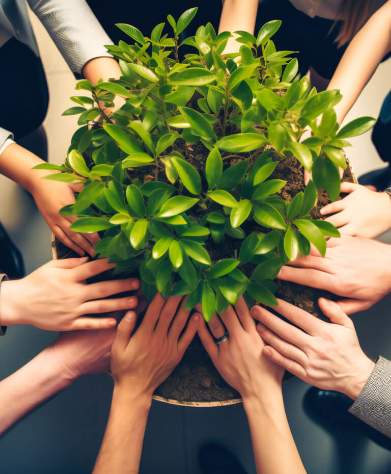 teamwork-business-with-green-plant